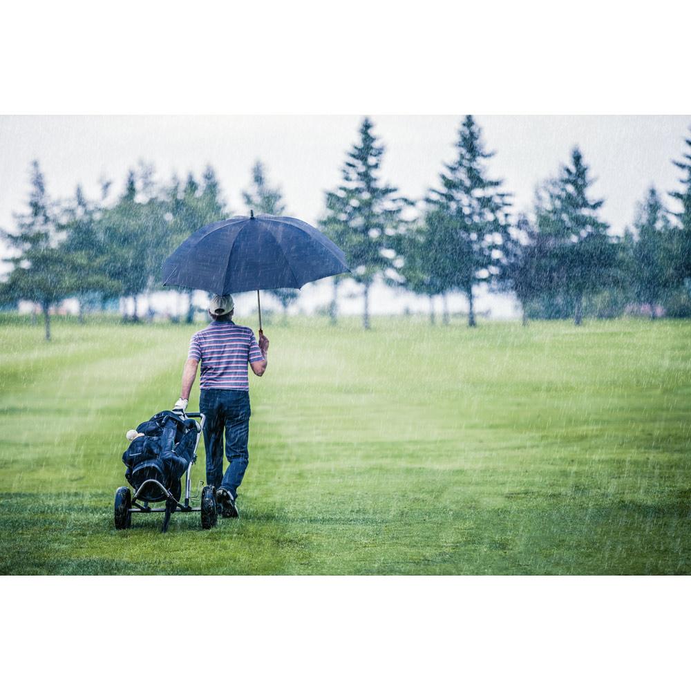 ROBERTO. Guarda-chuva de golfe